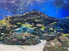 -海合安成都极地海洋公园