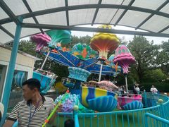 -秦皇岛乐岛海洋王国