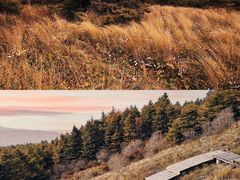 -白草畔自然风景区