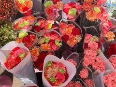 -宝鸡东道花鸟鱼虫市场(吉利花园商场店)