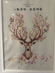 -紫琪尔·胸部养护护理