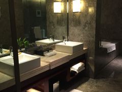 -常州环球恐龙城维景国际大酒店