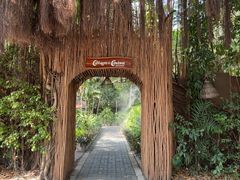 -卷心菜和避孕套餐厅(Pattaya)