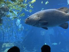 -太平洋海底世界