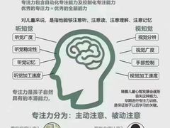 -金色雨林感统训练·专注力·语言认知·心理沙盘(天通苑校区)