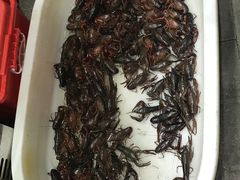 -大拇指龙虾(娄葑文体中心店)