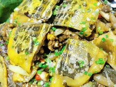甲鱼-中卫御苑福膳·养生局(圆明园店)