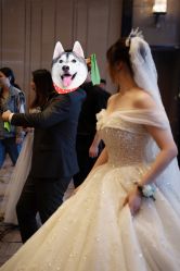 -MuseMarry婚纱(前海嘉里中心店)