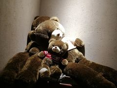 -有才叔北京时间涮肉(紫薇尚层店)