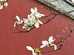 -大钟寺古钟博物馆