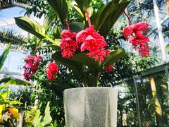 -国家植物园南园