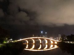 -万绿园