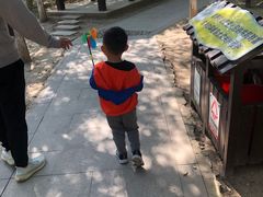 -西青郊野公园