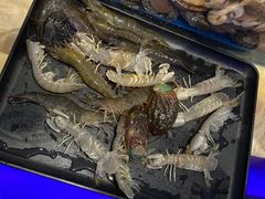 活虾-乔哥铭洋海鲜自助(皇城恒隆广场店)