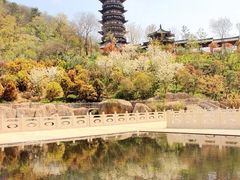 -牛首山文化旅游区