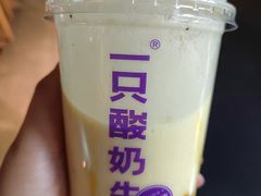-一只酸奶牛(兰州中心店)