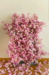 -星宝贝儿童摄影