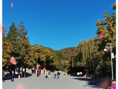 -八大处公园