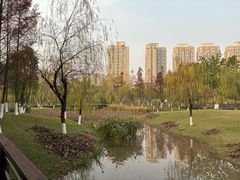 -沐仙湖湿地公园