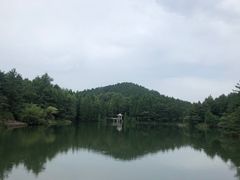 -四明山国家森林公园