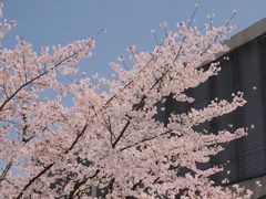 -龙美术馆(西岸馆)