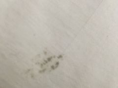 床单发霉-南阳龙潭沟