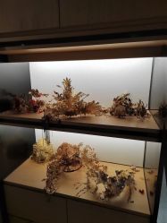 -城市花园婚纱摄影