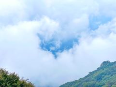 -白草畔自然风景区