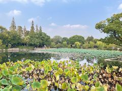 -无锡蠡湖国家湿地公园-蠡园