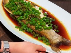 -新光酒家·河豚·海鲜·蟹料理(浦东店)