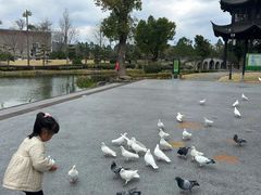 -溪口-滕头旅游景区