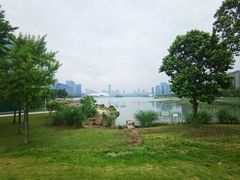 -金沙湖公园