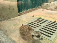 -杭州野生动物世界
