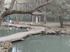 -兰亭风景区