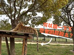 -上海野生动物园