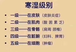 -香薇妮丝·定制减肥·身材管理