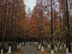 -艾溪湖湿地公园