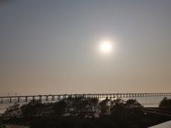 -宝安西湾红树林湿地公园