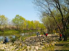 -新江湾城公园
