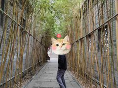 -龙潭水乡