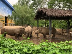 -西安秦岭野生动物园