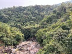 -广州白江湖森林公园