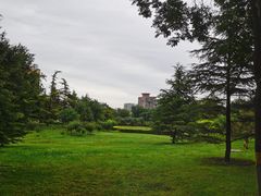 -康庄公园