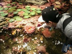 -西雅图水族馆