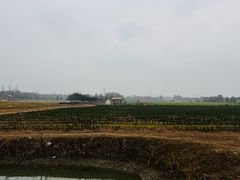 -四川大学(望江校区)
