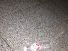 -阜阳站