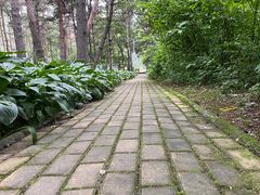 -黑龙江省森林植物园