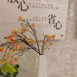 -Cocodemer女性健康·产后恢复(天一广场店)