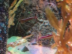 -沈阳海洋探索中心