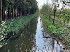 -前小桔亲子创意农场·草莓采摘·露营烧烤